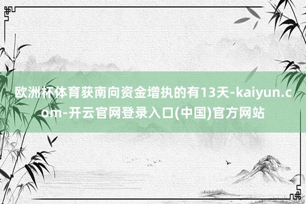 欧洲杯体育获南向资金增执的有13天-kaiyun.com-开云官网登录入口(中国)官方网站
