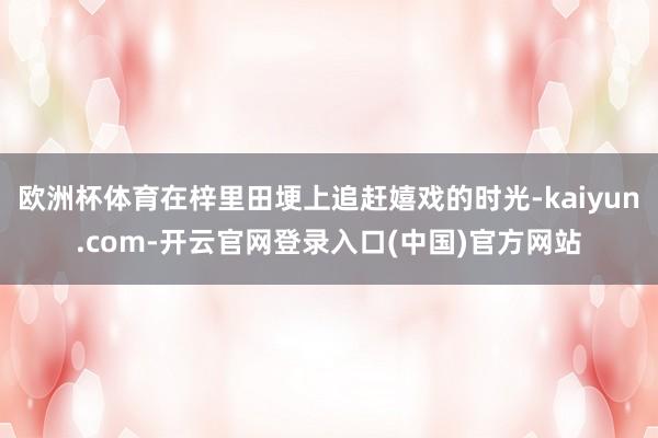 欧洲杯体育在梓里田埂上追赶嬉戏的时光-kaiyun.com-开云官网登录入口(中国)官方网站