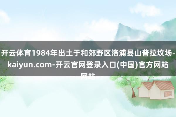 开云体育1984年出土于和郊野区洛浦县山普拉坟场-kaiyun.com-开云官网登录入口(中国)官方网站