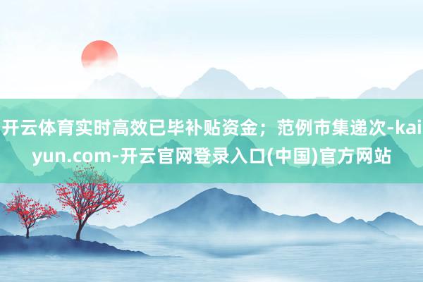 开云体育实时高效已毕补贴资金；范例市集递次-kaiyun.com-开云官网登录入口(中国)官方网站