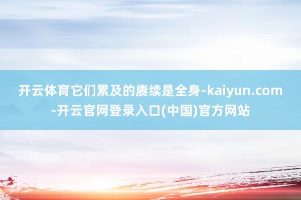 开云体育它们累及的赓续是全身-kaiyun.com-开云官网登录入口(中国)官方网站