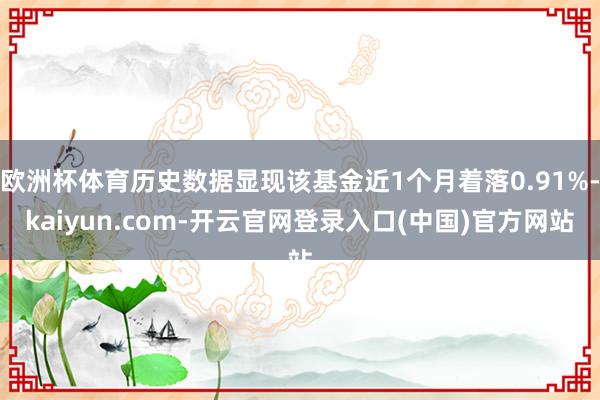 欧洲杯体育历史数据显现该基金近1个月着落0.91%-kaiyun.com-开云官网登录入口(中国)官方网站