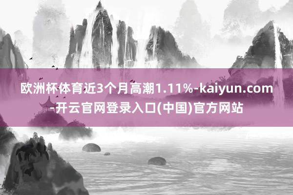 欧洲杯体育近3个月高潮1.11%-kaiyun.com-开云官网登录入口(中国)官方网站