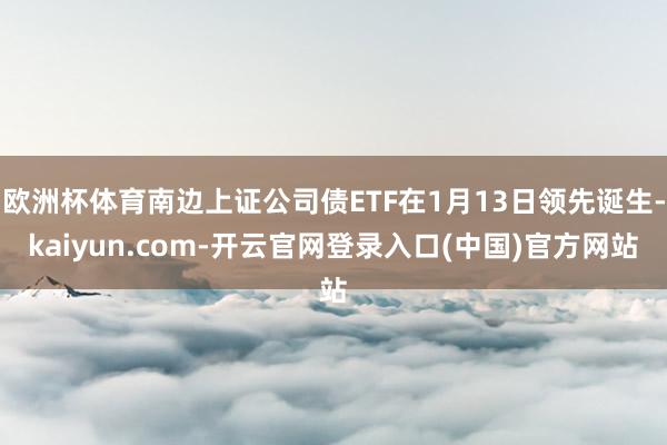 欧洲杯体育南边上证公司债ETF在1月13日领先诞生-kaiyun.com-开云官网登录入口(中国)官方网站
