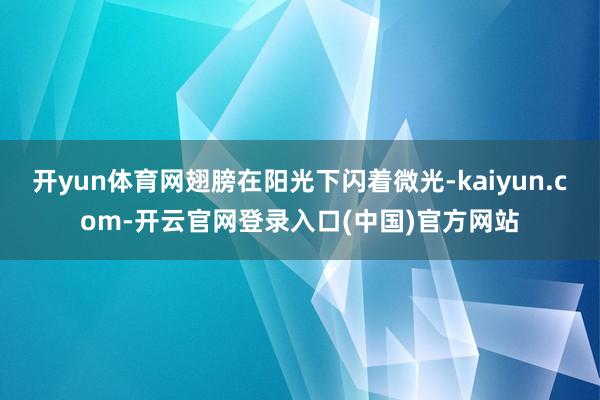 开yun体育网翅膀在阳光下闪着微光-kaiyun.com-开云官网登录入口(中国)官方网站