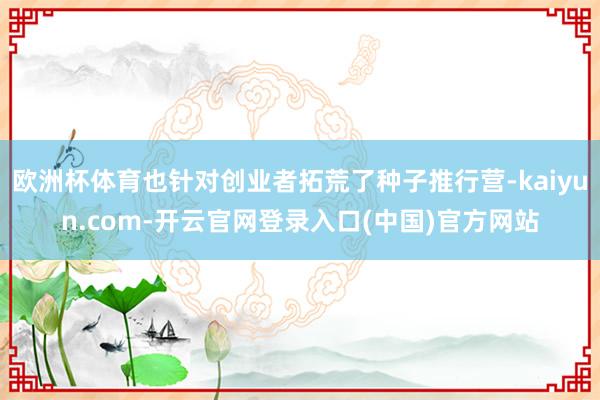 欧洲杯体育也针对创业者拓荒了种子推行营-kaiyun.com-开云官网登录入口(中国)官方网站