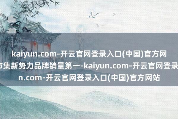 kaiyun.com-开云官网登录入口(中国)官方网站不息31周获中国市集新势力品牌销量第一-kaiyun.com-开云官网登录入口(中国)官方网站