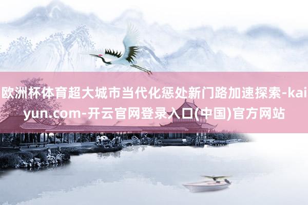 欧洲杯体育超大城市当代化惩处新门路加速探索-kaiyun.com-开云官网登录入口(中国)官方网站