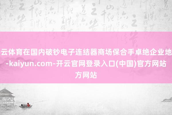 开云体育在国内破钞电子连结器商场保合手卓绝企业地位-kaiyun.com-开云官网登录入口(中国)官方网站