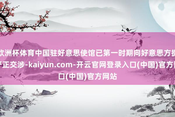 欧洲杯体育中国驻好意思使馆已第一时期向好意思方提倡严正交涉-kaiyun.com-开云官网登录入口(中国)官方网站