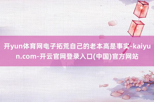 开yun体育网电子拓荒自己的老本高是事实-kaiyun.com-开云官网登录入口(中国)官方网站