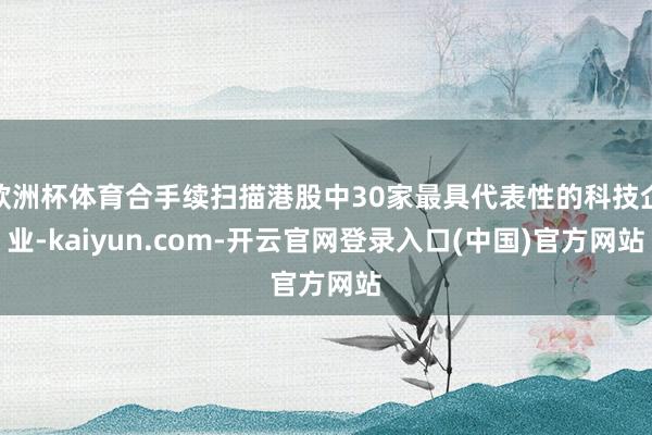 欧洲杯体育合手续扫描港股中30家最具代表性的科技企业-kaiyun.com-开云官网登录入口(中国)官方网站