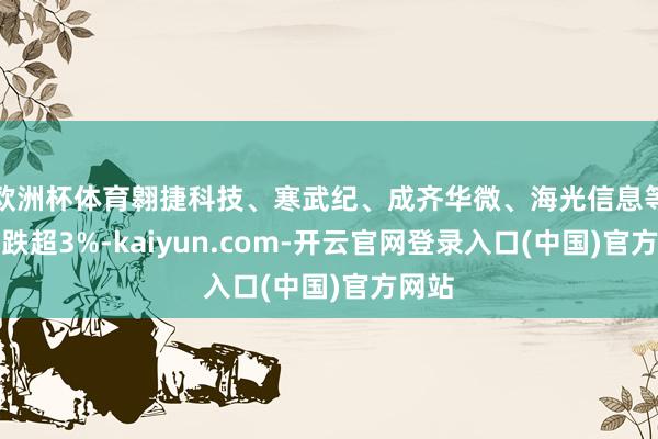 欧洲杯体育翱捷科技、寒武纪、成齐华微、海光信息等多股跌超3%-kaiyun.com-开云官网登录入口(中国)官方网站