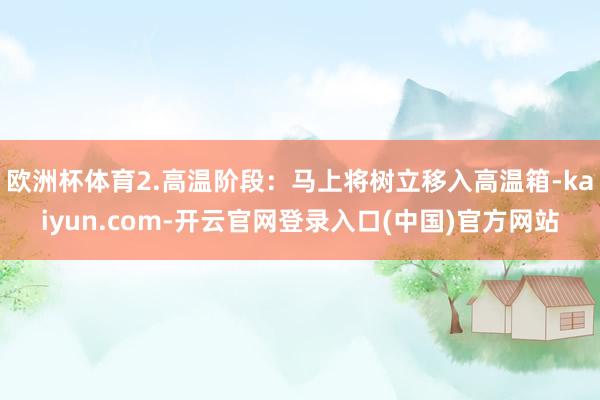 欧洲杯体育2.高温阶段：马上将树立移入高温箱-kaiyun.com-开云官网登录入口(中国)官方网站
